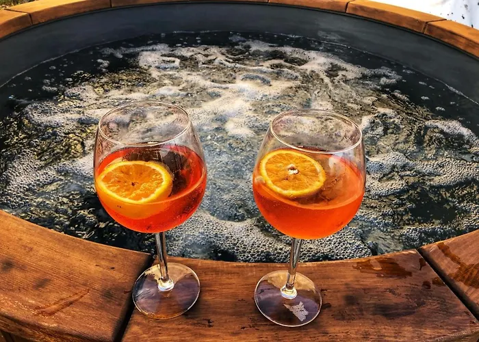 Dal Vikingo Alpstuga